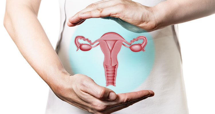 Gynecology​